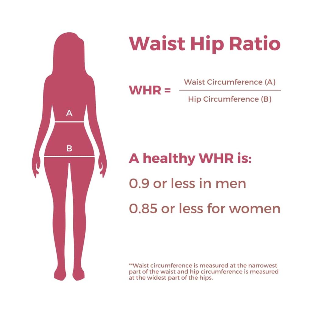 marie france blog image What BMI Vs Waist to Hip Ratio Can Tell You About Your Health 1
